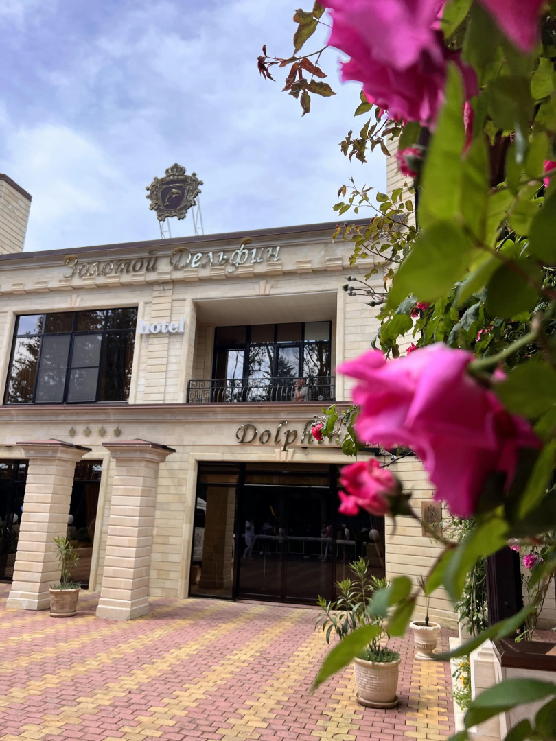 Отель Золотой Дельфин
