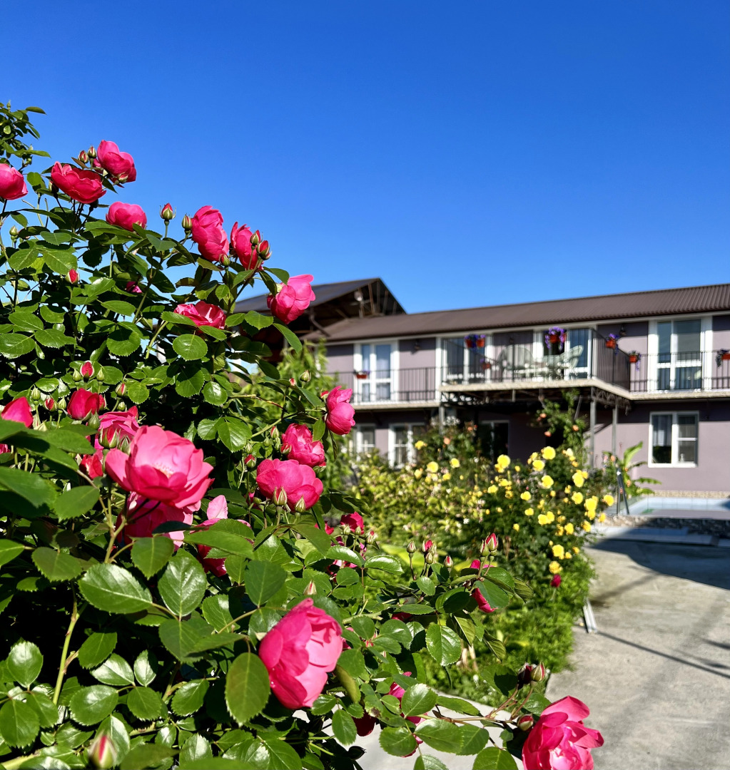 Гостевой дом Роза