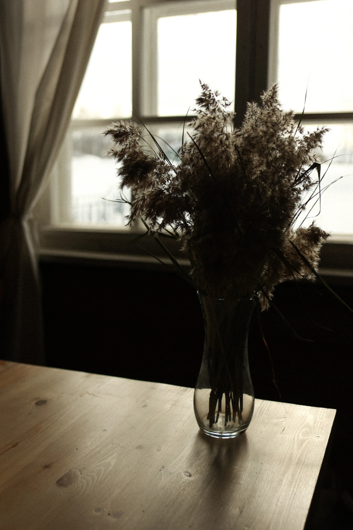 Гостевой дом с птицами в Кириллове