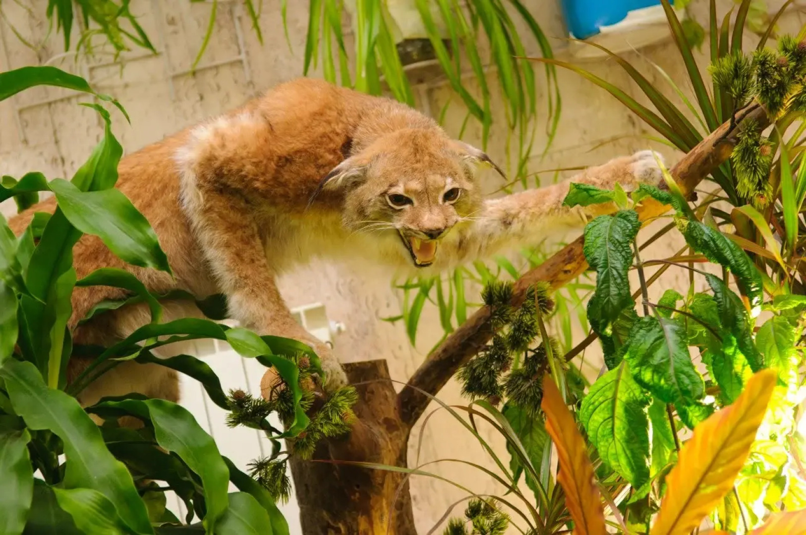 Гостинично-Ресторанный Комплекс Берег