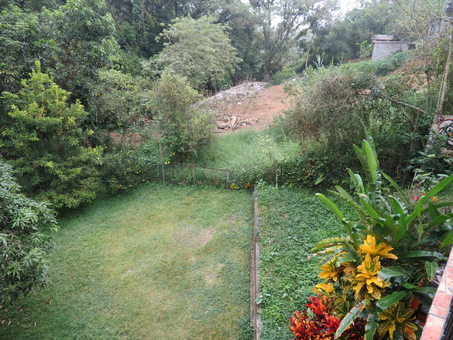 Отель Casa Verde Xilitla by Rotamundos