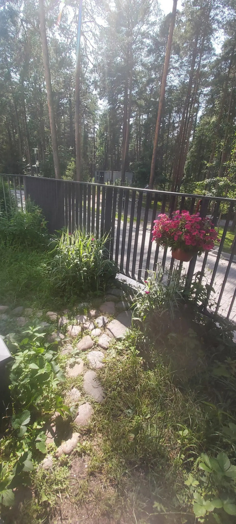 Апартаменты в Курорте Рядом с Финским Заливом