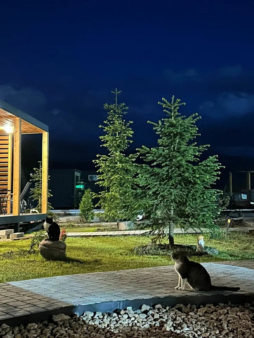 Гостевой дом Василиса Хаус