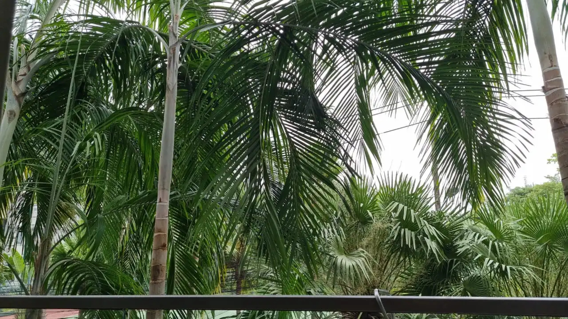 Апартаменты Club Royal Wongamat