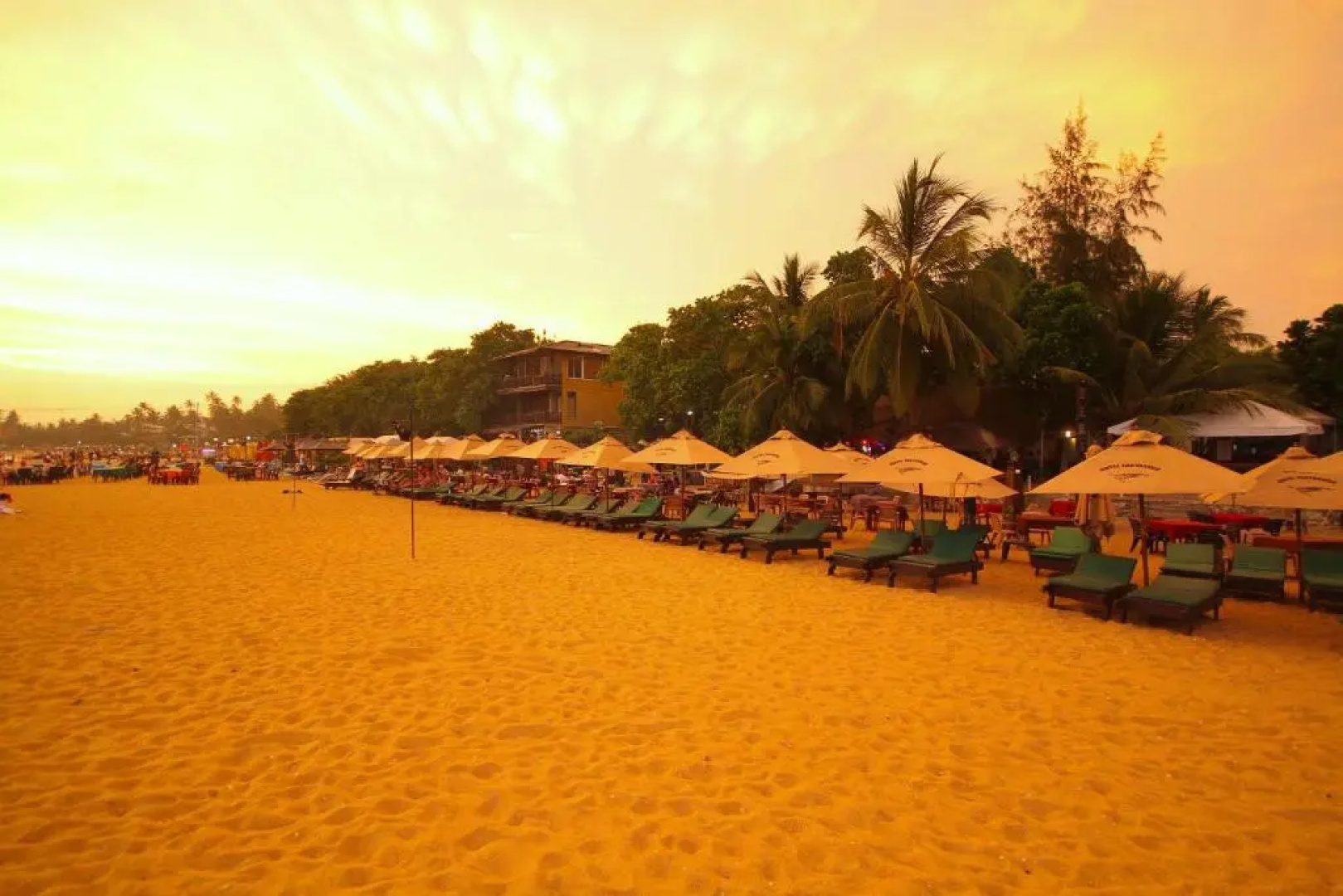 Отель Tartaruga Beach Resort