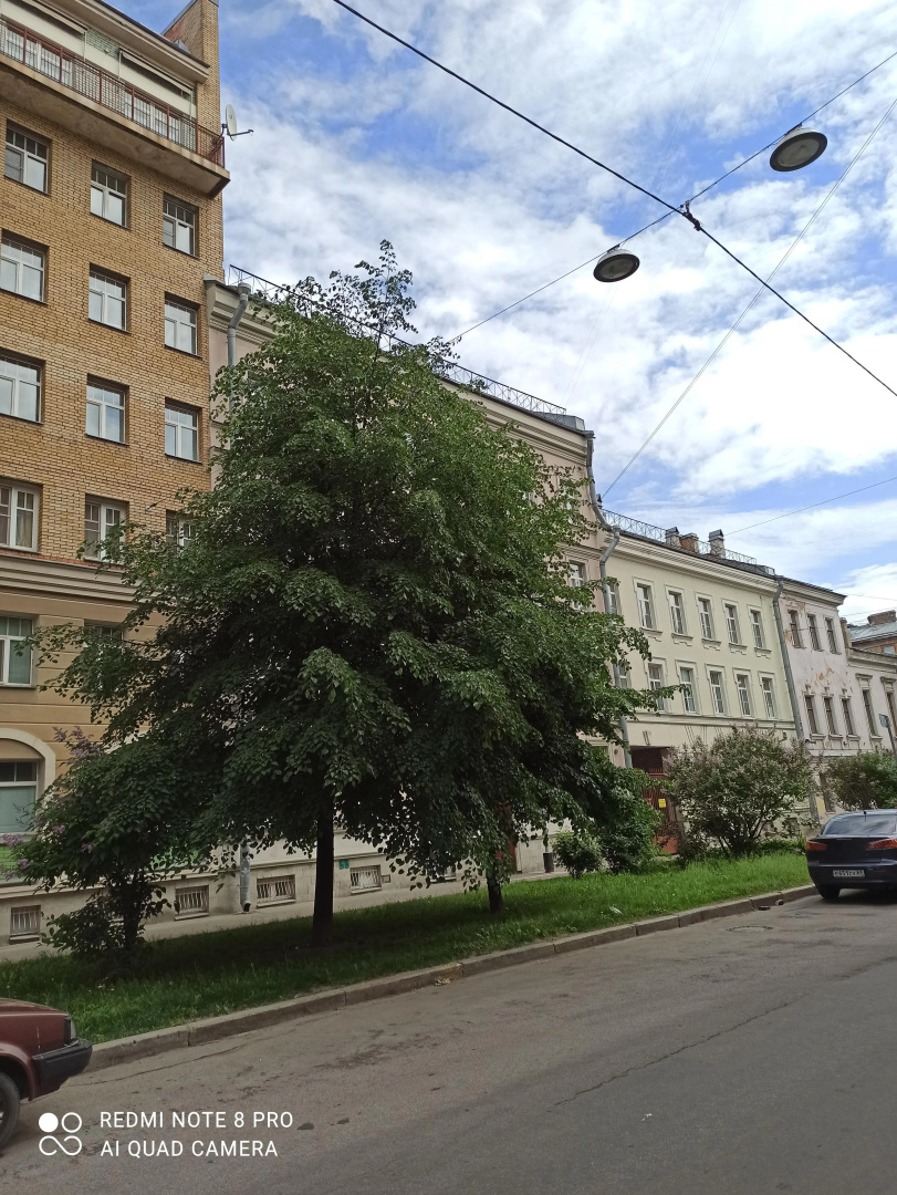 Апартаменты Уютная Мансарда в Центре