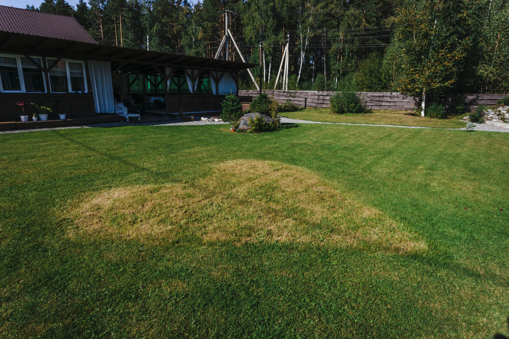 Гостевой Дом Алтай Живо