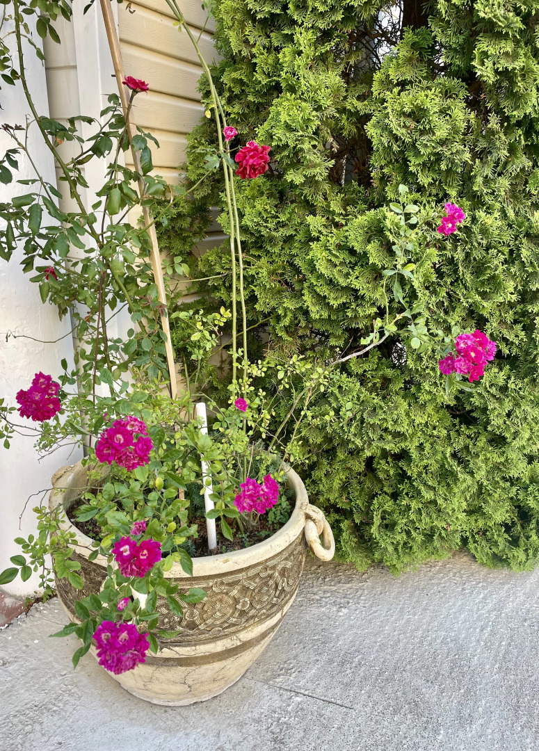 Гостевой дом Жемчужина