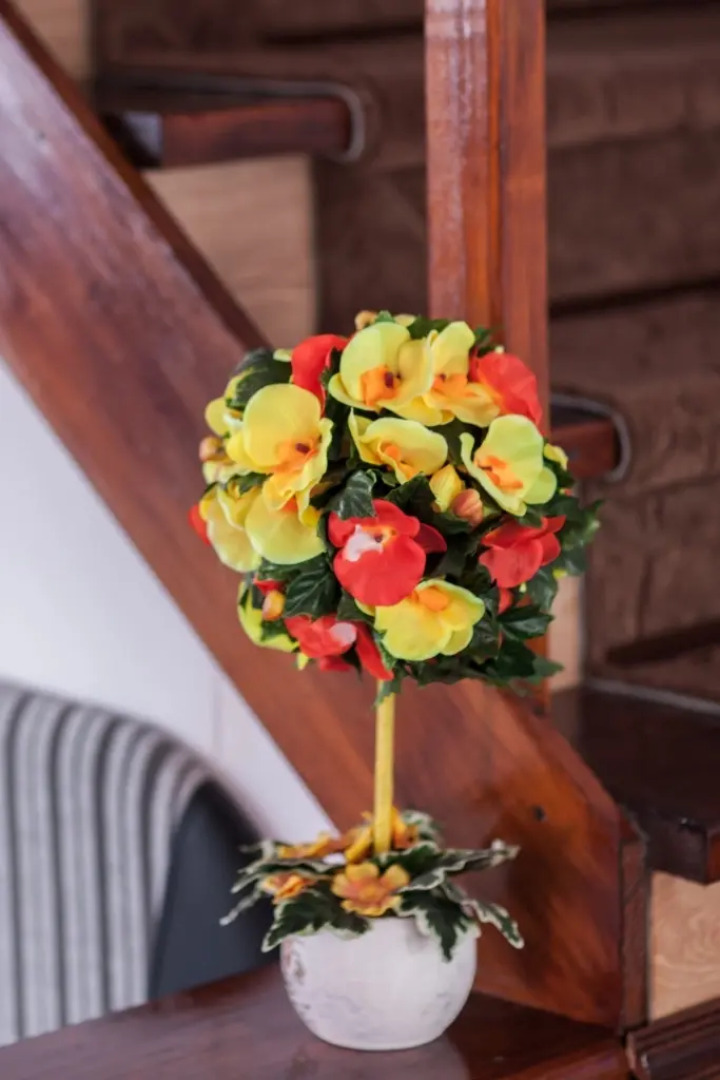 Гостевой Дом Орхидея