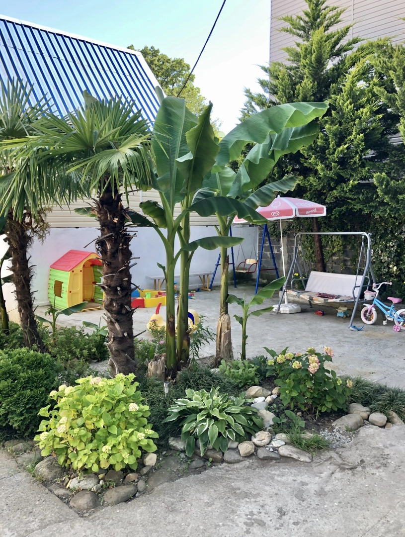 Гостевой дом «Big Fish»