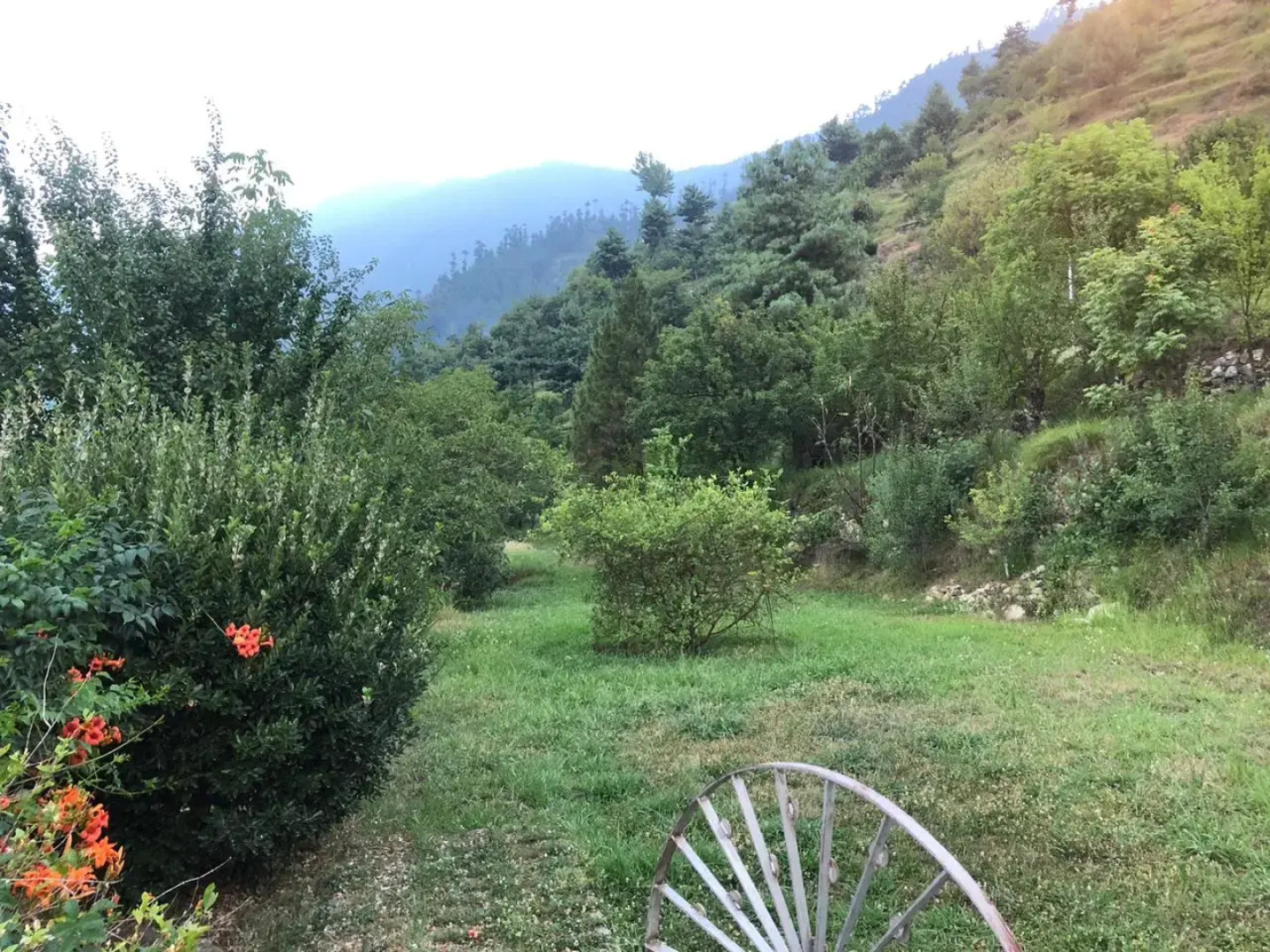 Barda Estate Tirthan Villa	