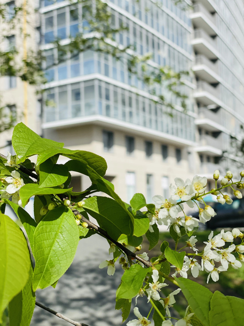 Апартаменты Ярви Комфорт