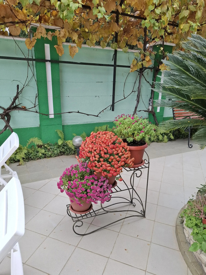 Гостевой дом Вероника