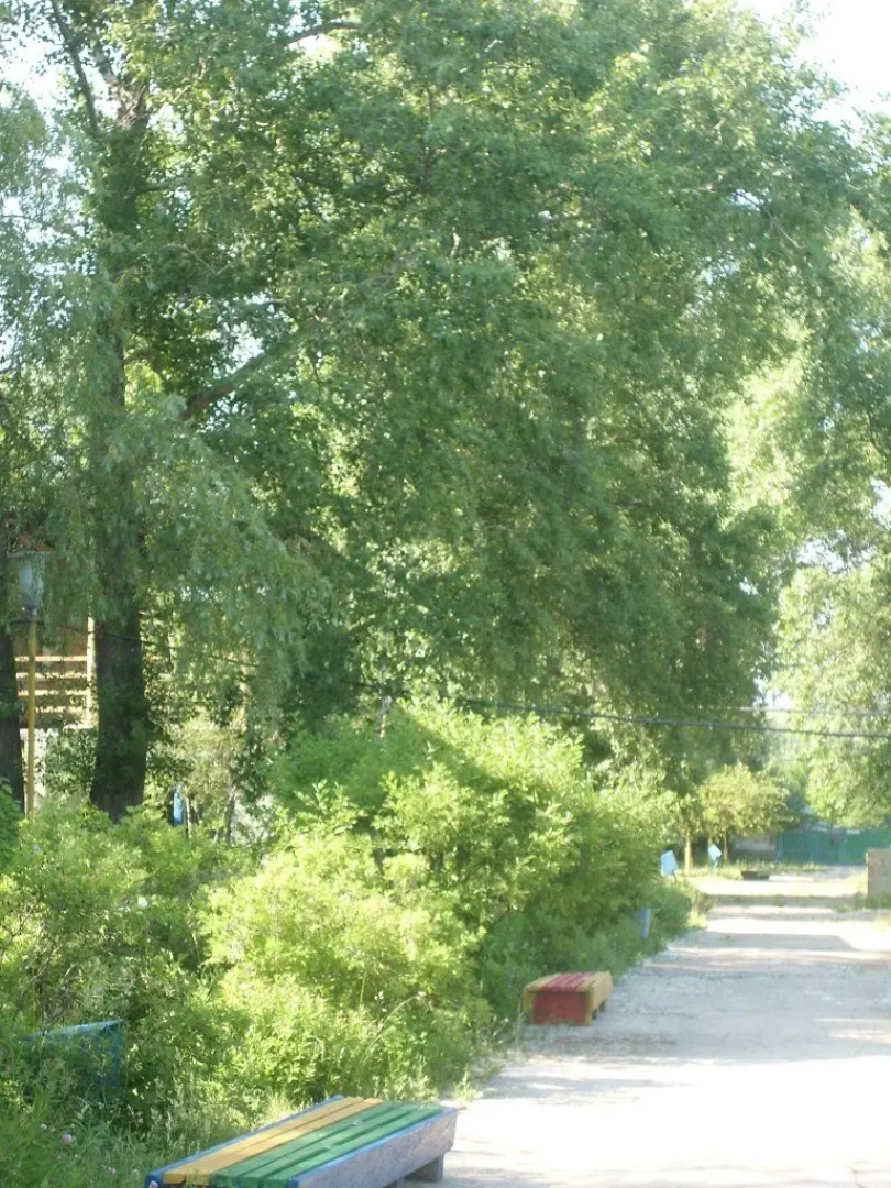 База отдыха Тихие зори