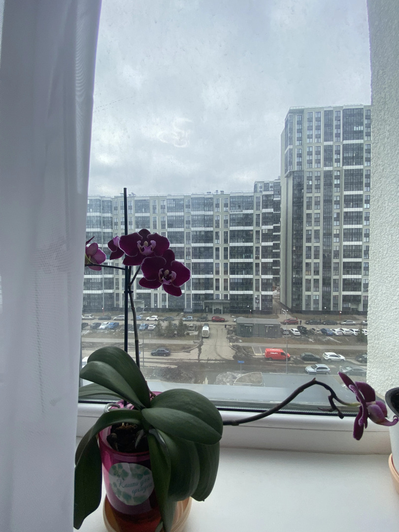 Квартира 1K c дизайнерским ремонтом в Приморском районе