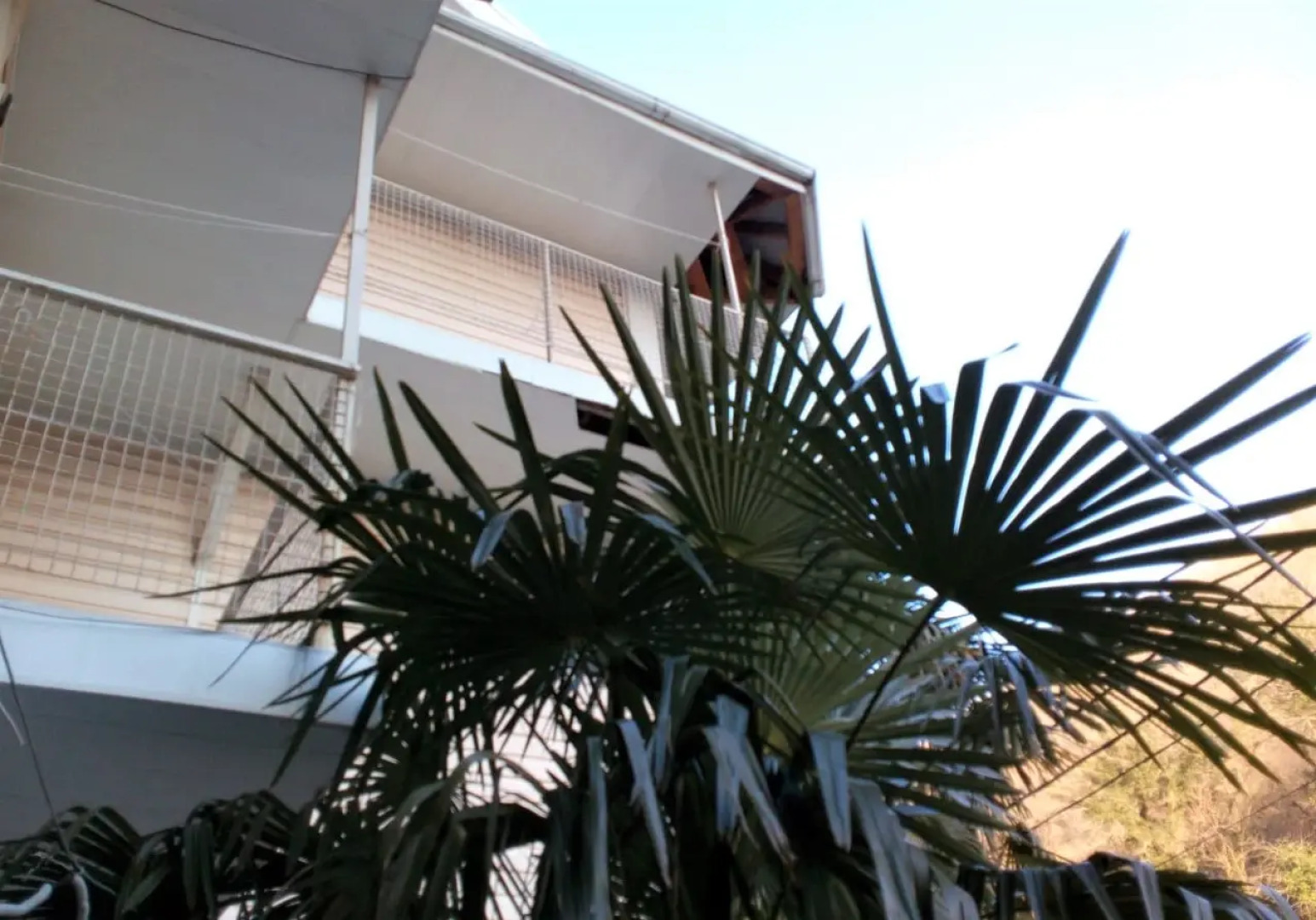 Гостевой дом Пальма Туапсе