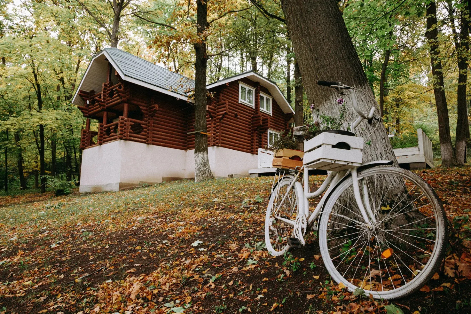 База Отдыха Ливадия