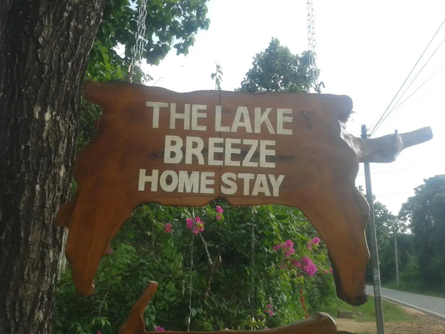 Отель The Lake Breeze