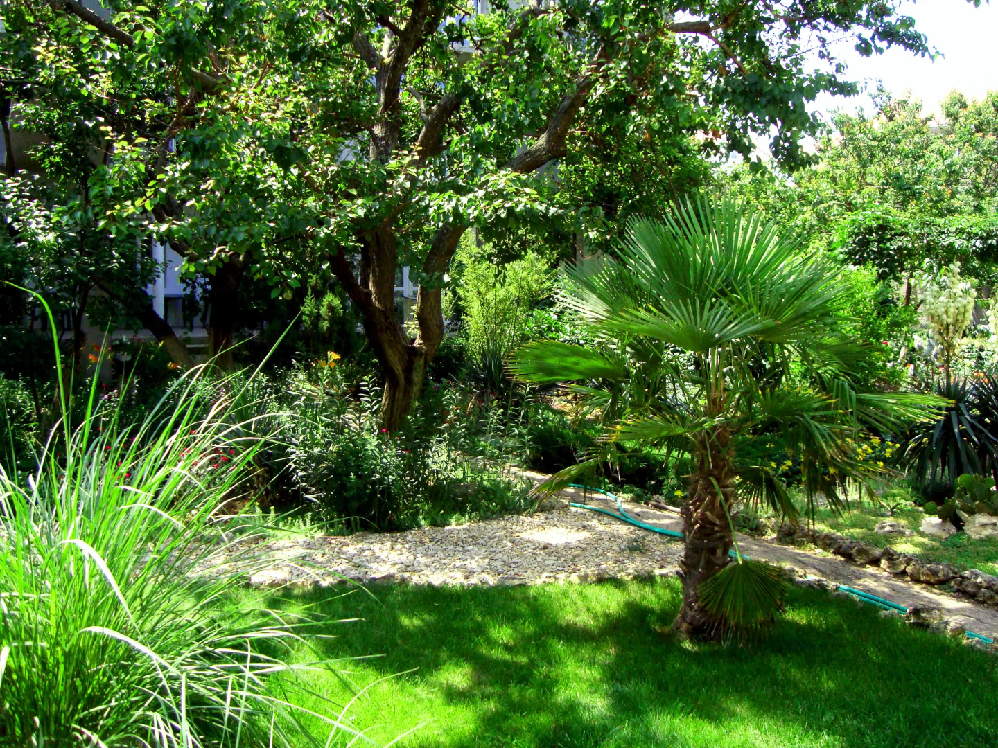 Гостевой Дом Солнечная Ривьера