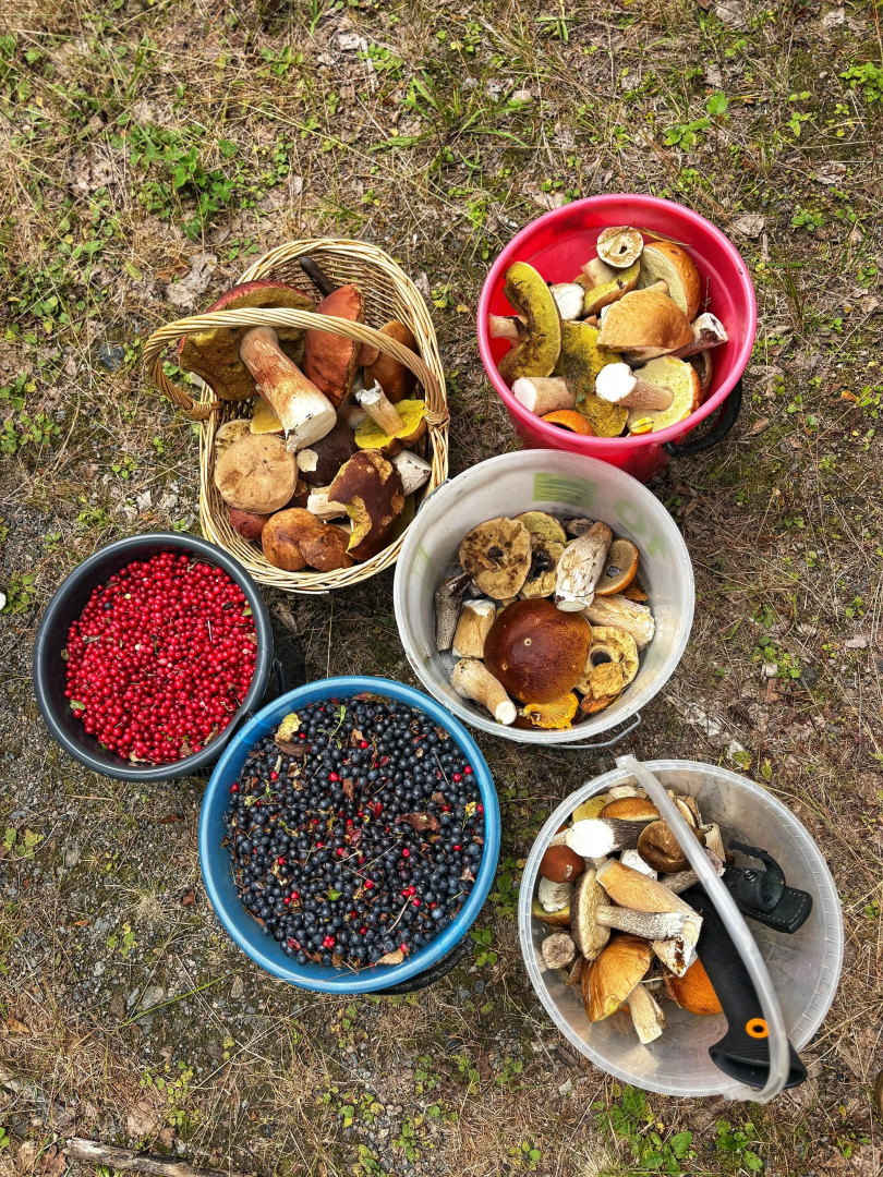 Шале у Озера 2