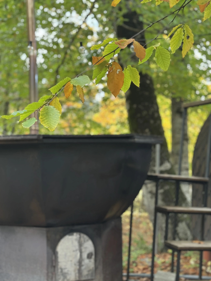 База отдыха WoodVillas