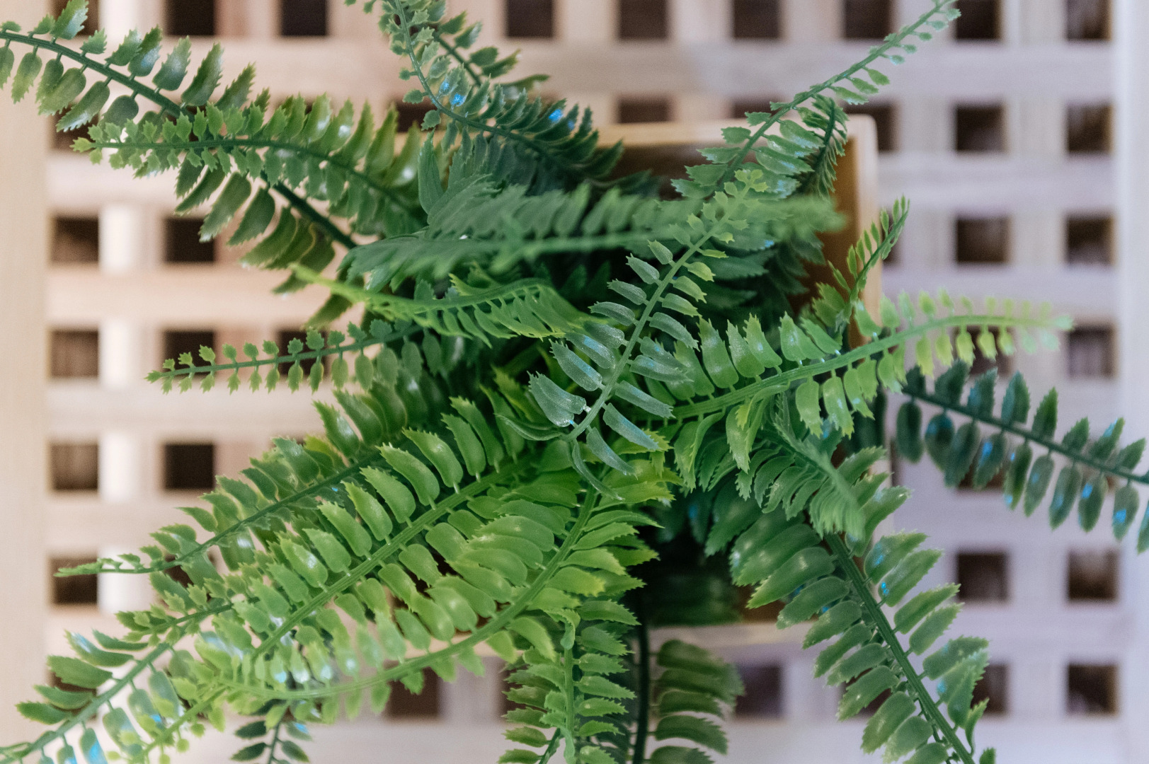 Отель Ecoliner Hotel