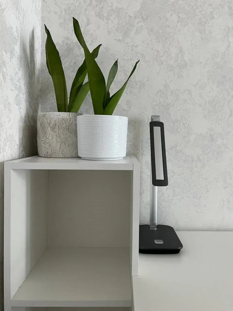 Квартира у Фридландских ворот