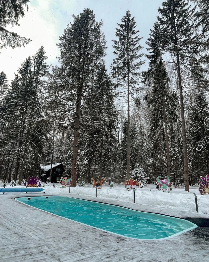 Отель Эко Романов Лес