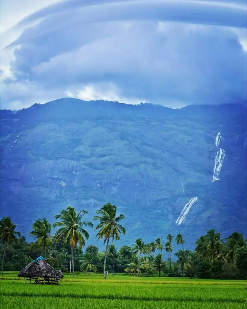 Moon Hill Resort Munnar ( Nature Retreat )