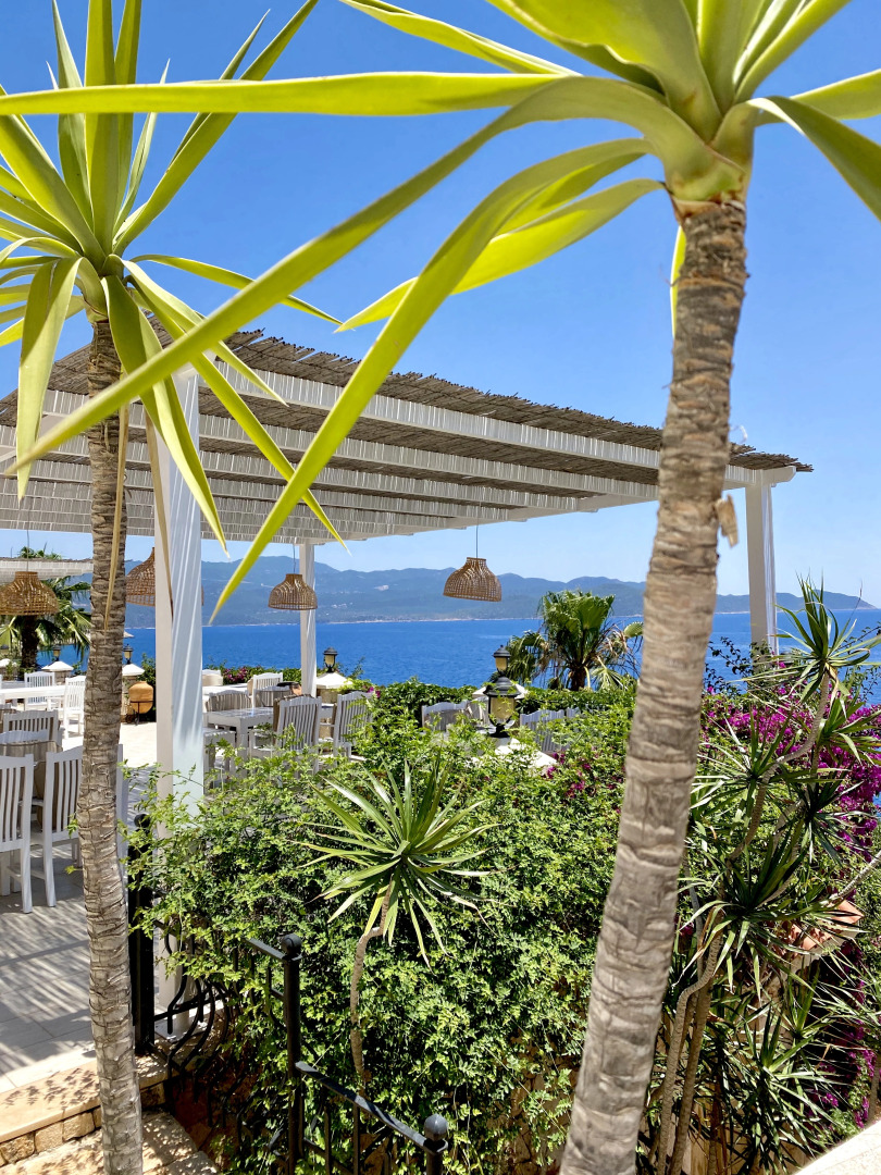 Отель Villa Tamara