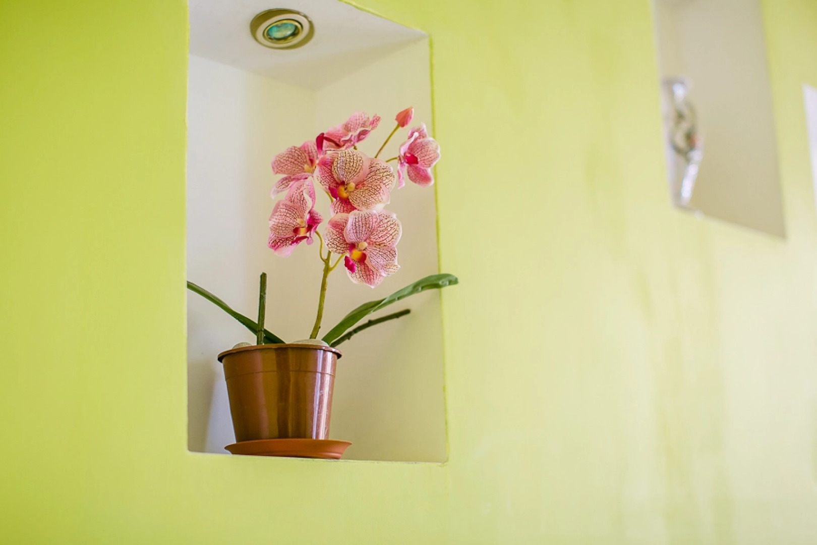 Апартаменты на Московской 1