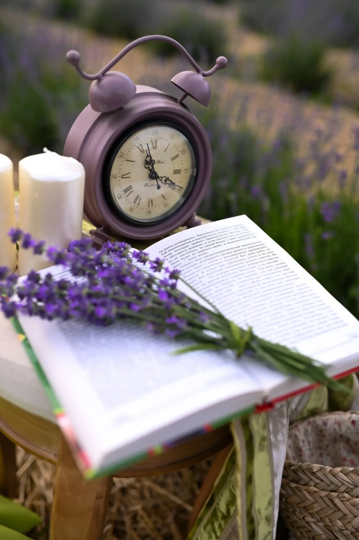 Шале Лаванда