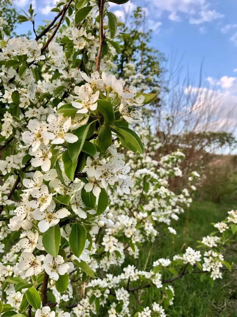 База отдыха Синегорье