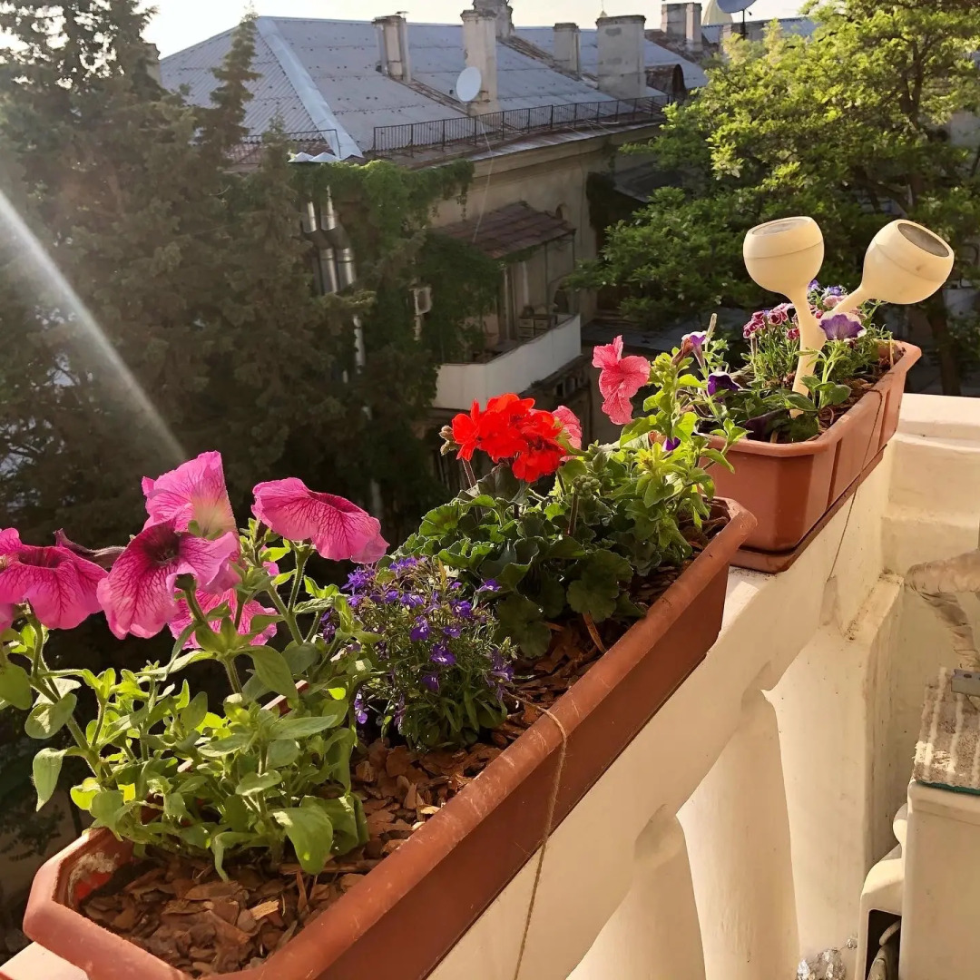 Хостел Смайл