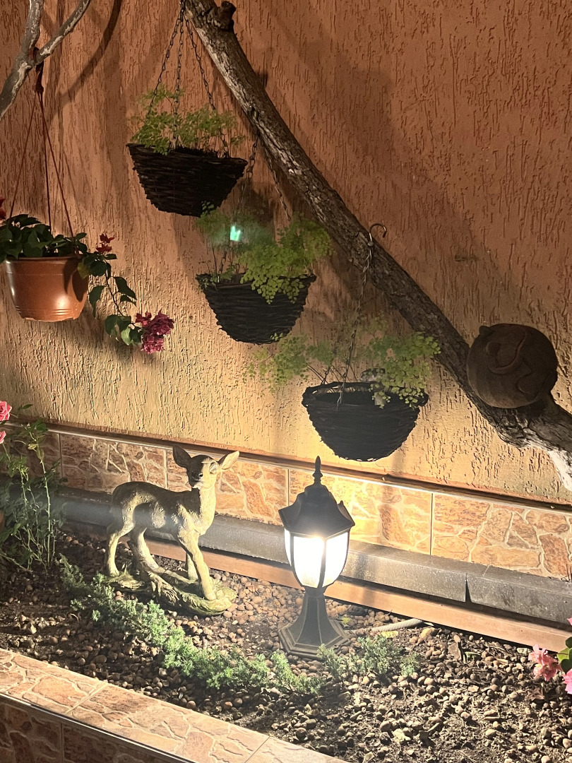 Гостевой дом Сюзи