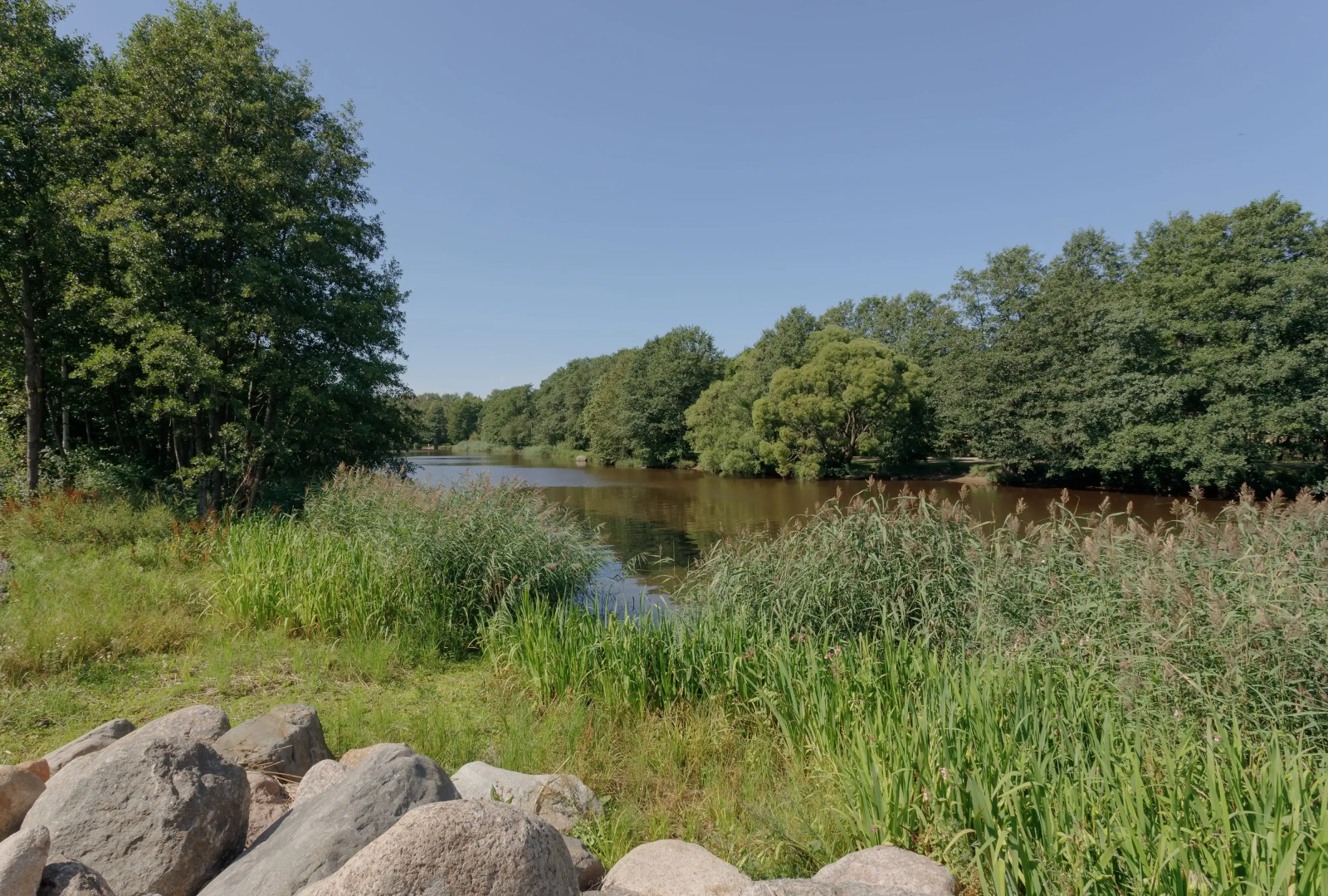 Апартаменты рядом с Финским заливом в Сестрорецке