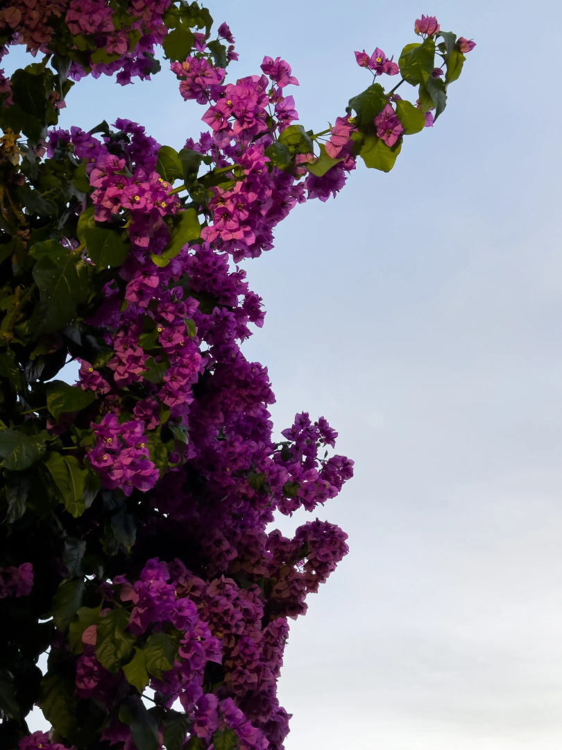 Отель Аимара