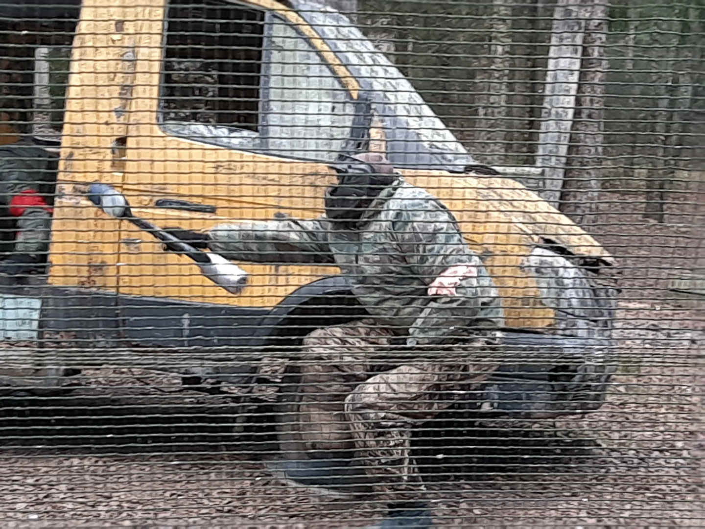 База отдыха Жуков Луг