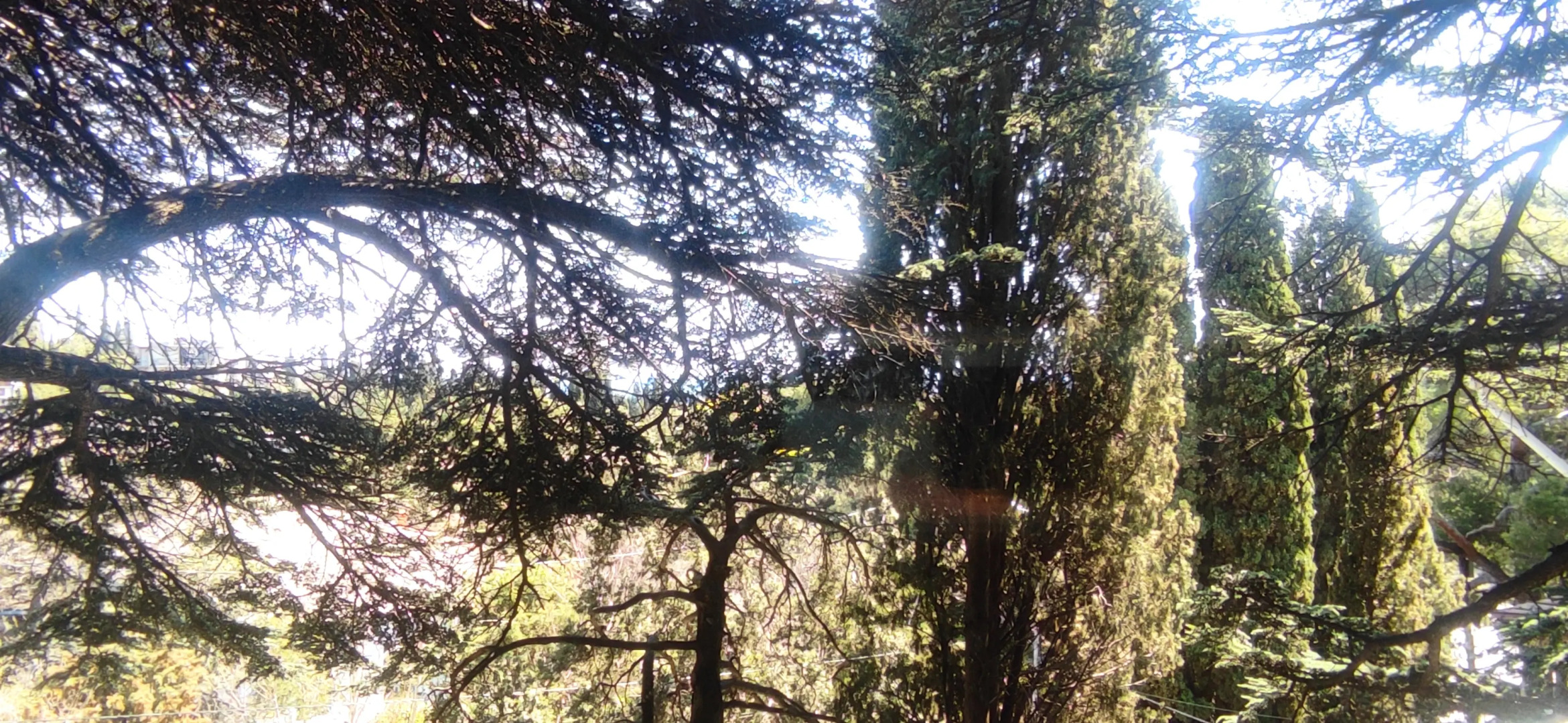 Частный дом Кедра