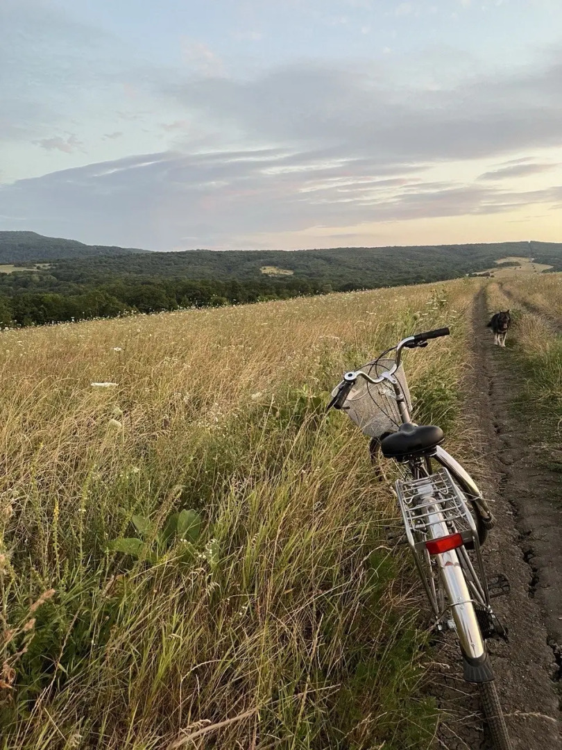 Частный дом Дизайнерский Барнхаус