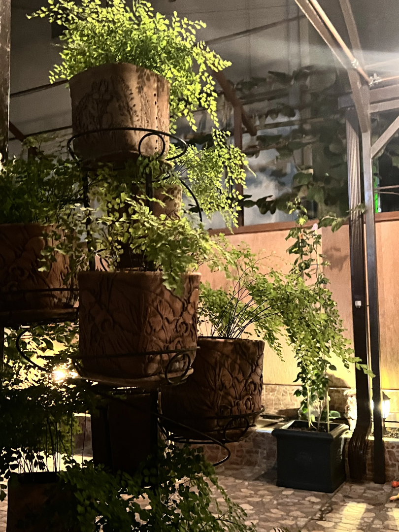 Гостевой дом Сюзи