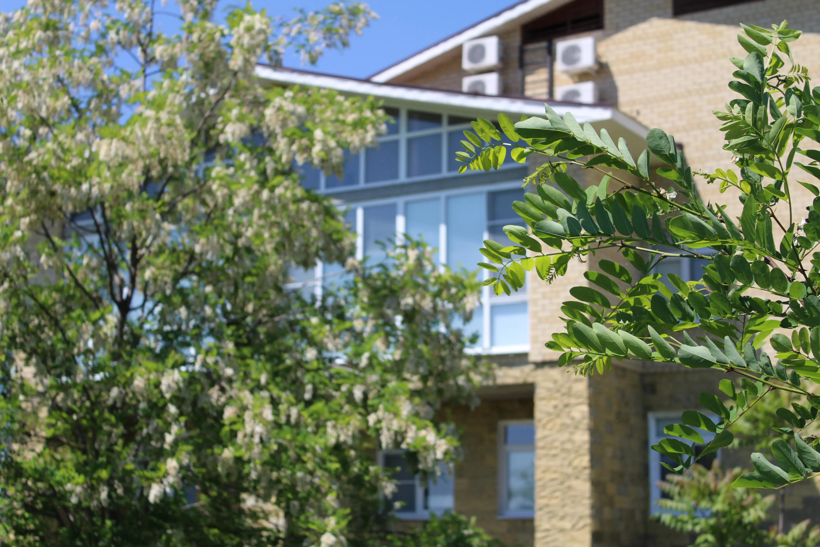 База отдыха Астраханская