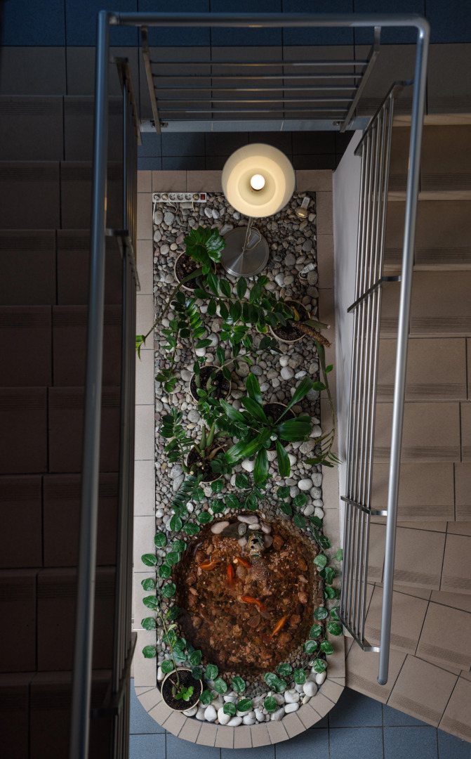 Отель Nowa Panorama