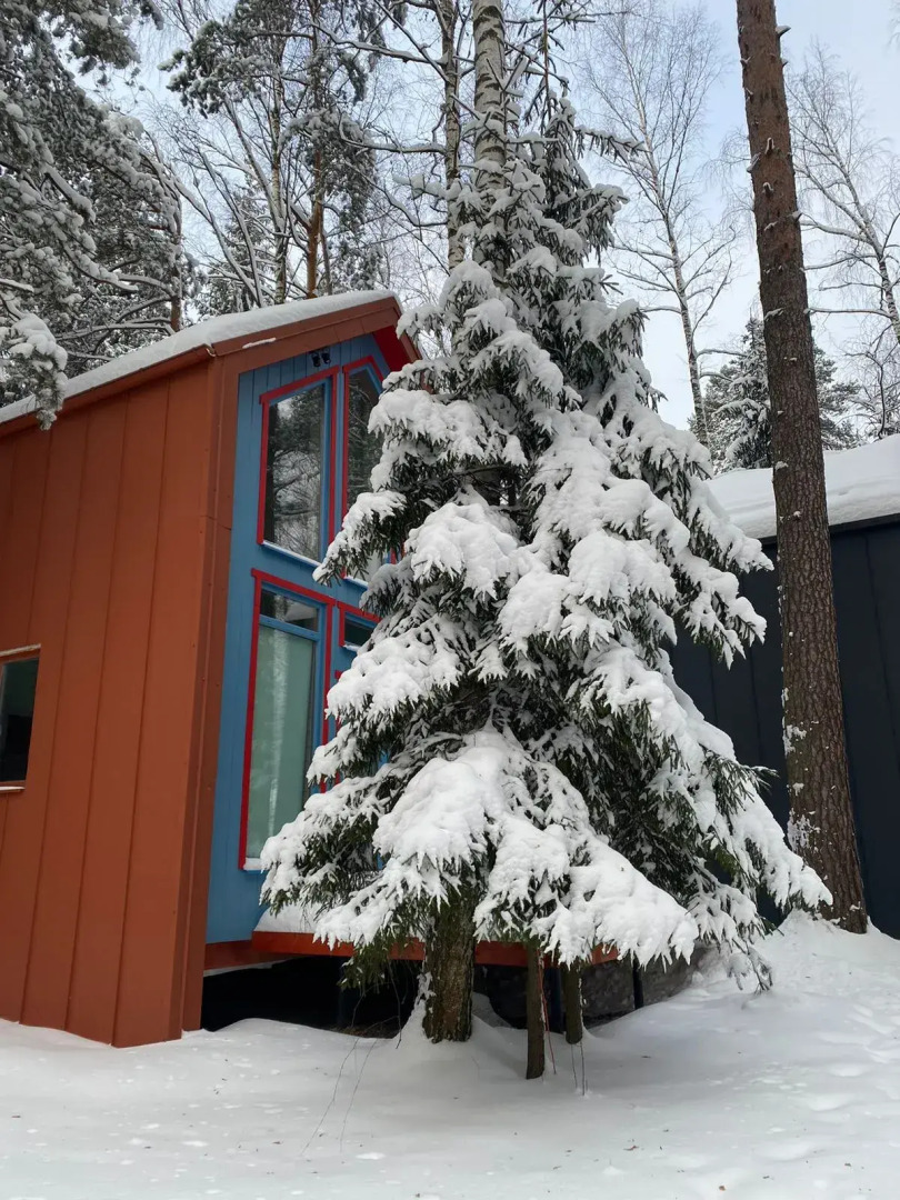 Частный дом в Заветах Ильича с голубой гостиной