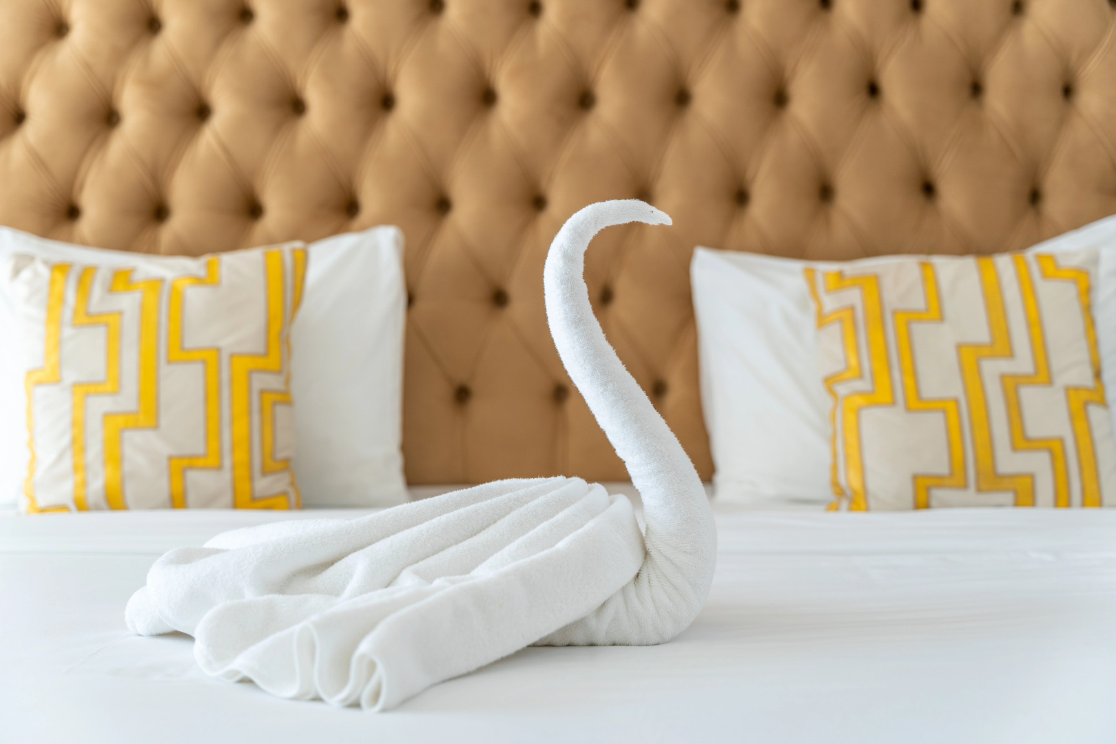 Отель Five Palms