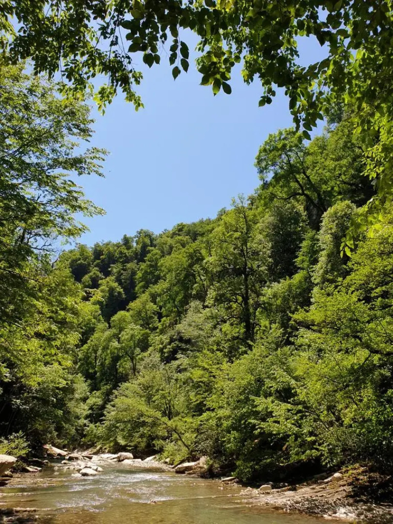 Квартира Курортный