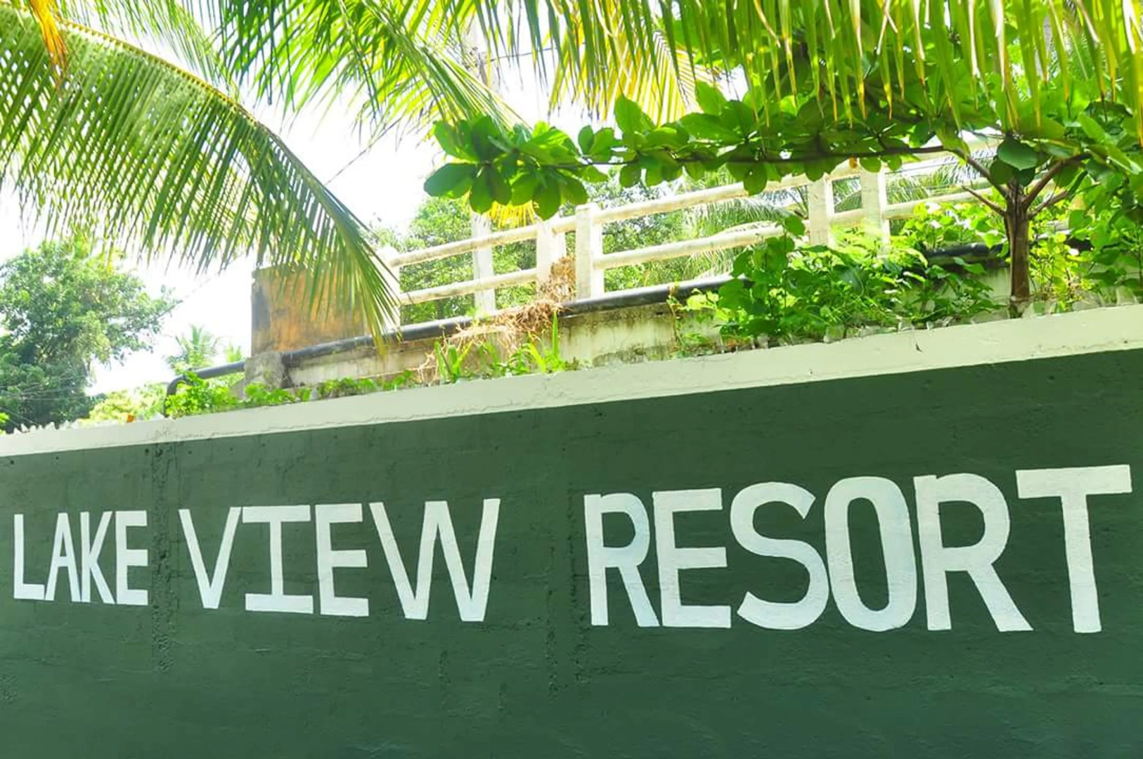 Отель Yoho Lake View Resort