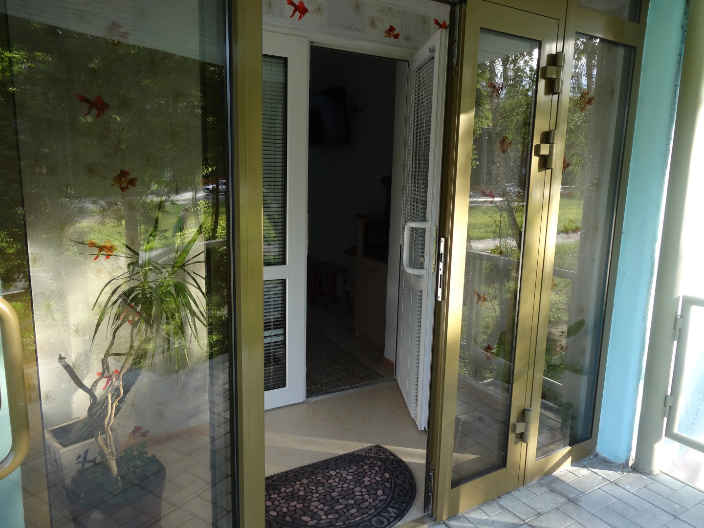 Отель Золотая рыбка