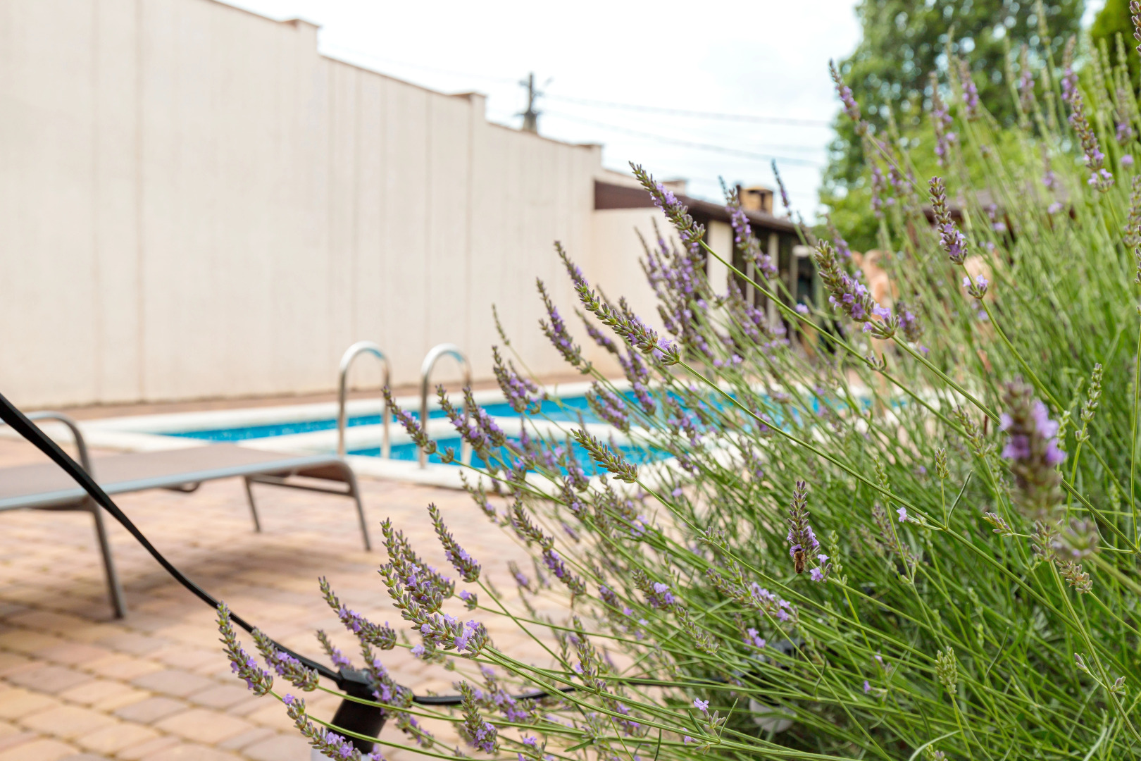 Гостевой дом Provence