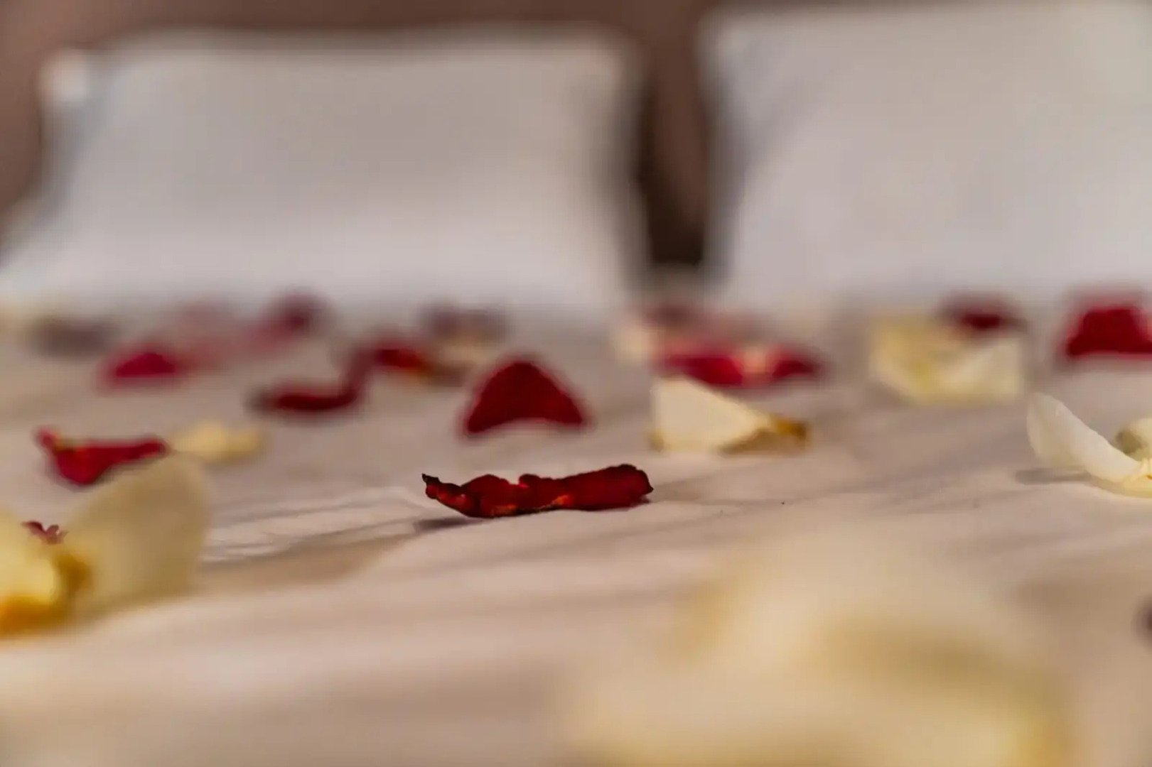 Частный дом Naumovo village